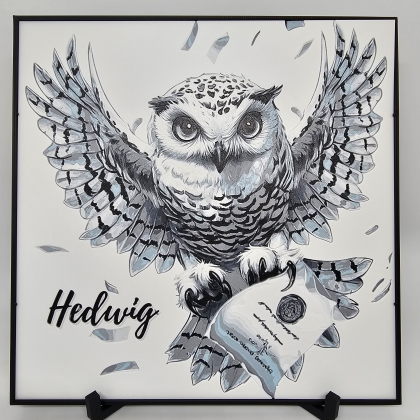 20250221 183807.webp