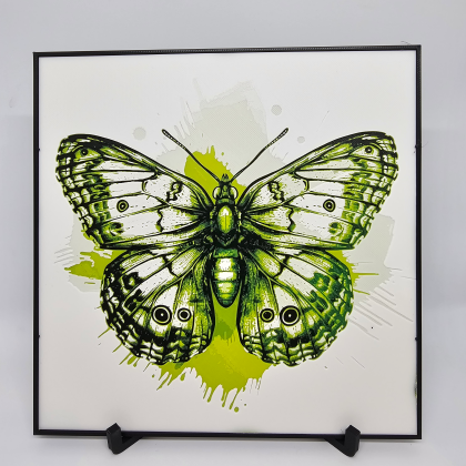 20250506 184207.webp